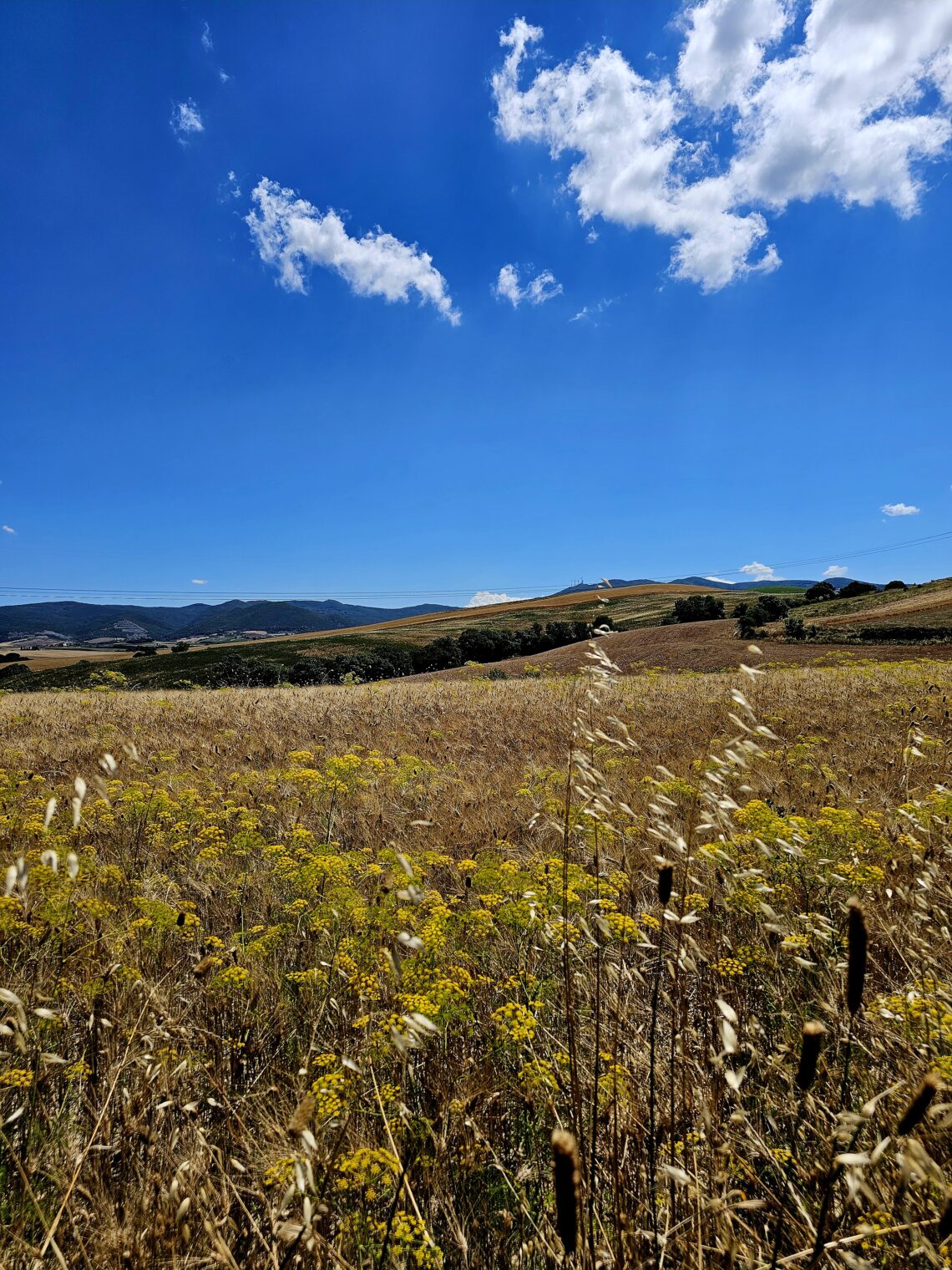 Tuscany, culture, nature and people