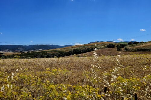 Tuscany, culture, nature and people